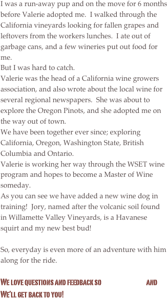 I was a run-away pup and on the move for 6 months before Valerie adopted me.  I walked through the California vineyards looking for fallen grapes and leftovers from the workers lunches.  I ate out of garbage cans, and a few wineries put out food for me.  
But I was hard to catch.
Valerie was the head of a California wine growers association, and also wrote about the local wine for several regional newspapers.  She was about to explore the Oregon Pinots, and she adopted me on the way out of town.  
We have been together ever since; exploring California, Oregon, Washington State, British Columbia and Ontario.
Valerie is working her way through the WSET wine program and hopes to become a Master of Wine someday.
As you can see we have added a new wine dog in training!  Jory, named after the volcanic soil found in Willamette Valley Vineyards, is a Havanese squirt and my new best bud!

So, everyday is even more of an adventure with him along for the ride.

We love questions and feedback so                                    and We’ll get back to you!